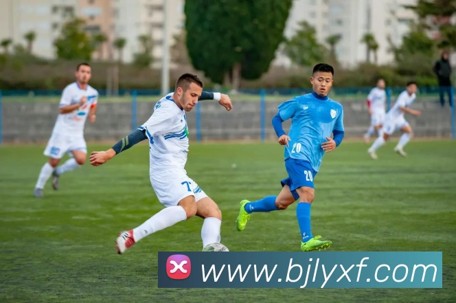 百家乐网站APP 封面图